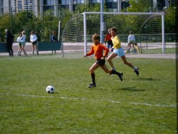 0DIA 1984 RAVA PUPS 1
